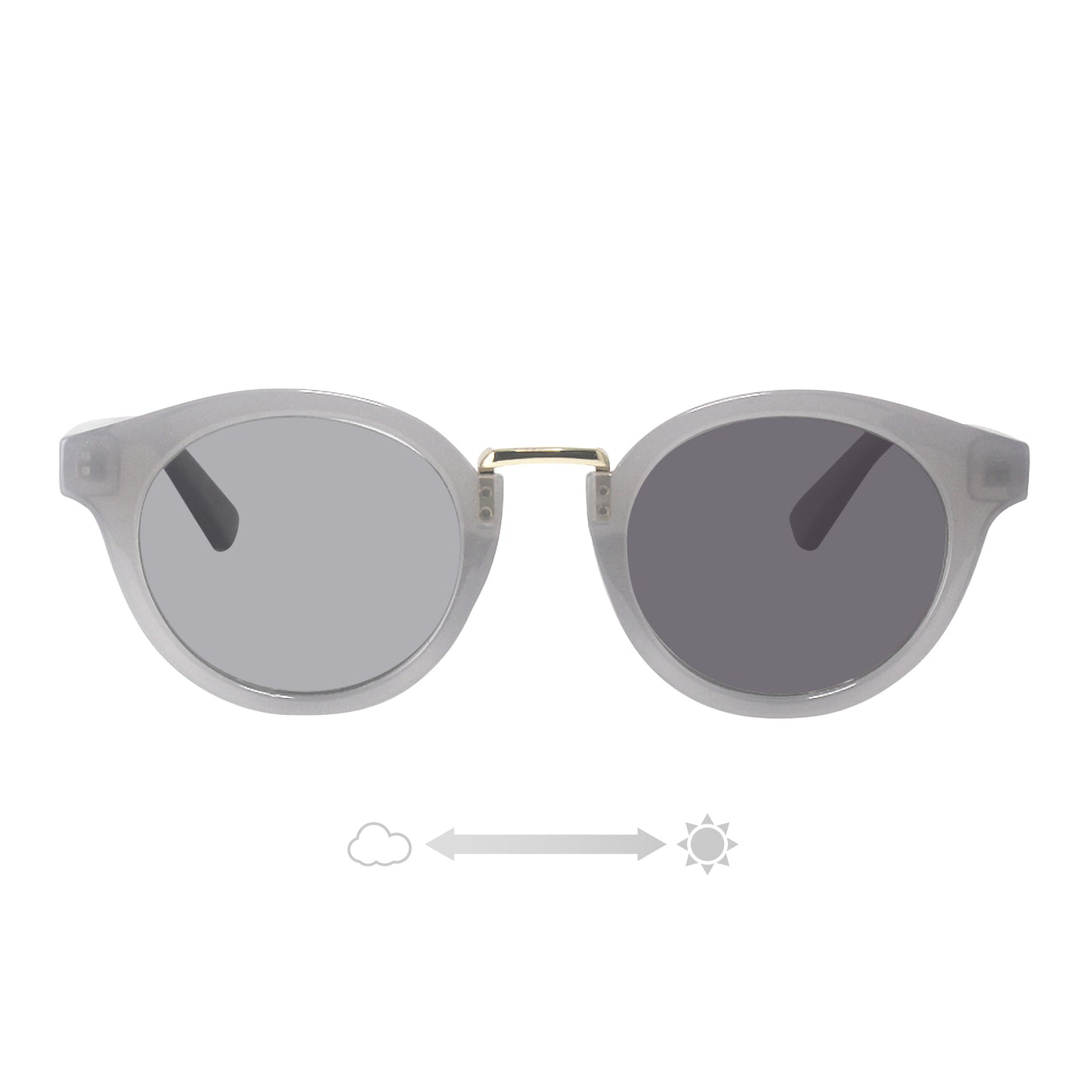 SS7730-31CH/41CH/51CH/61CH(調光偏光機能付き)