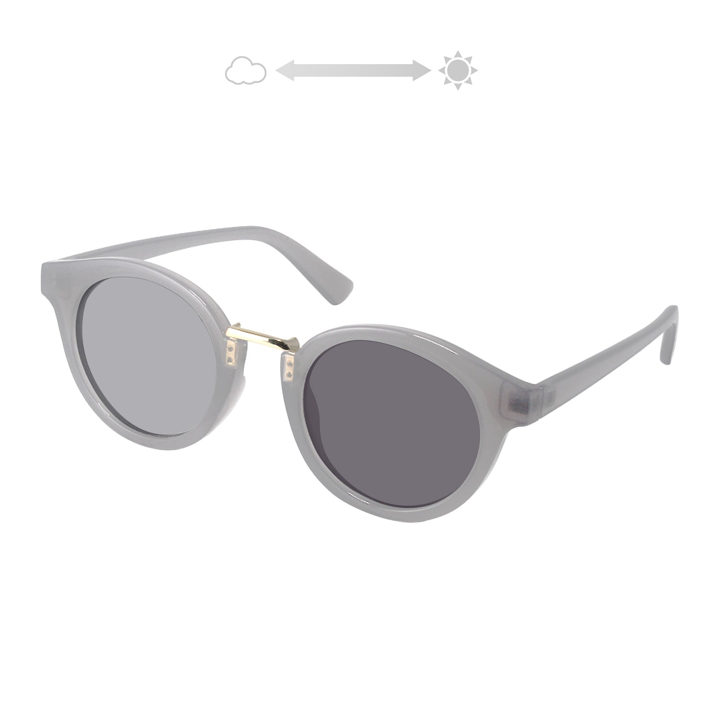 SS7730-31CH/41CH/51CH/61CH(調光偏光機能付き)